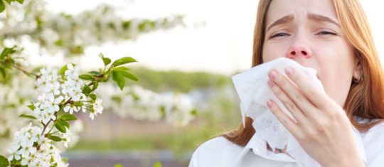 Prévenir et traiter les allergies