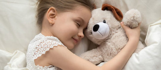 Choisir des peluches représentant des animaux de compagnie