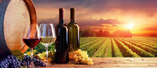 Vente en ligne de grands vins