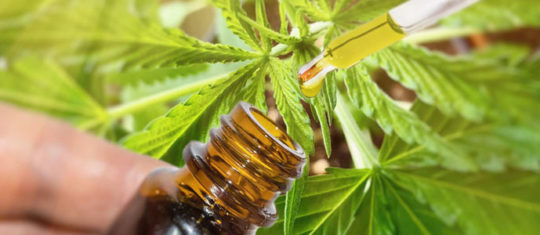 Liquides à base de CBD pour vapoteurs