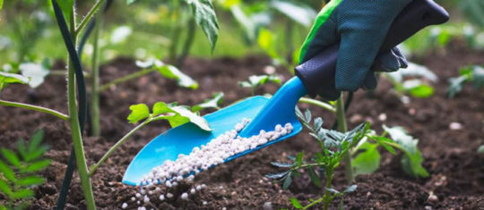 Amélioration de la production agricole