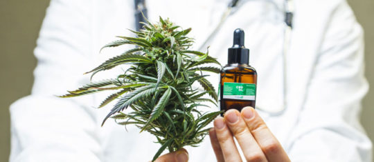 La weed médicale