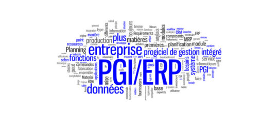 ERP et PGI
