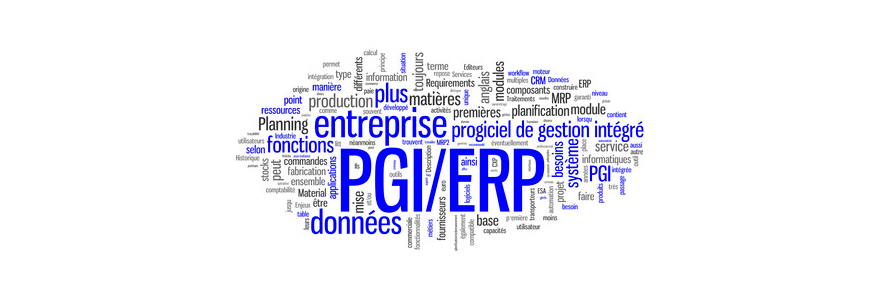 ERP et PGI